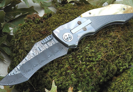 Allen Elishewitz 5813 