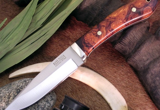 Bark River 576x438