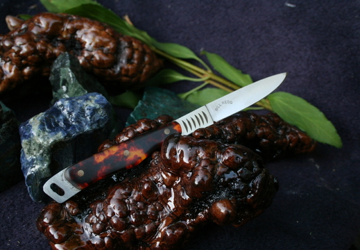 Small Trout Bird Knife--001