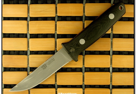 Bob Terzuola 4187
