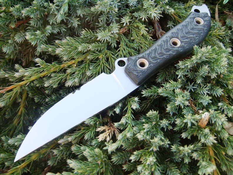 Busse_Combat_1920x14404.jpg