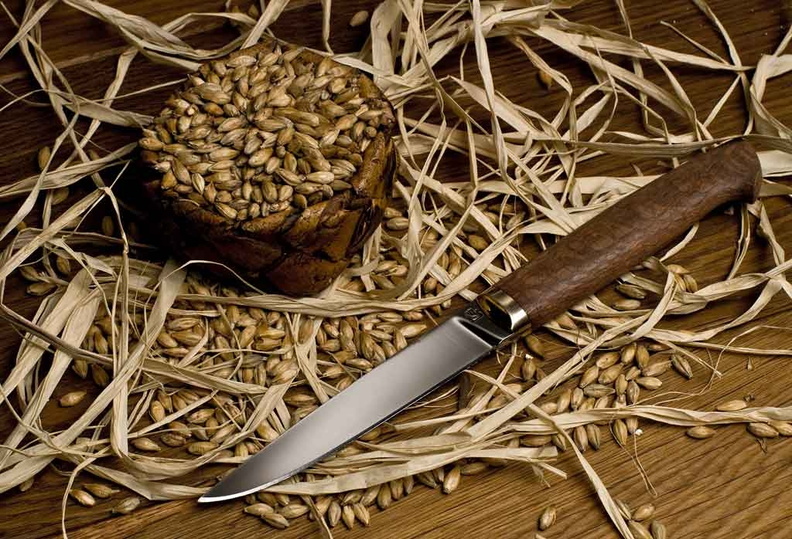 __1024x698.jpg