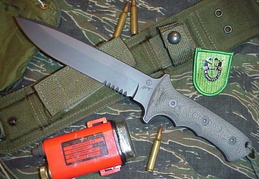 Chris Reeve Green Beret