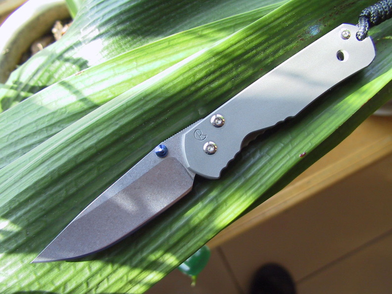 Chris_Reeve_Sebenza_1.jpg