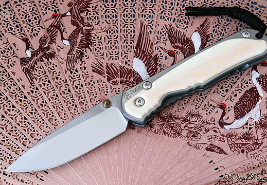 Chris Reeve Sebenza 800x5331