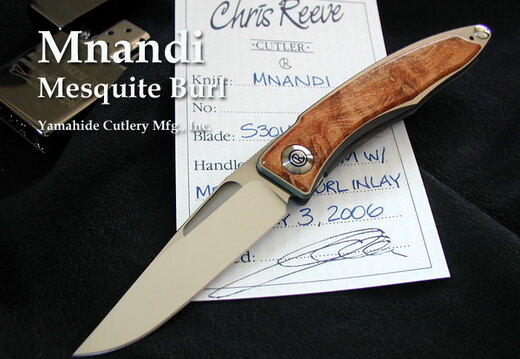 Chris Reeve mnandimb1lg