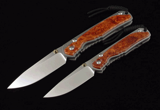 Chris Reeve seb couple 1