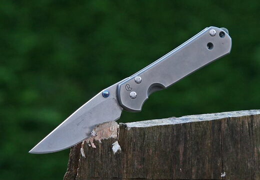 Chris Reeve sebenza 87677