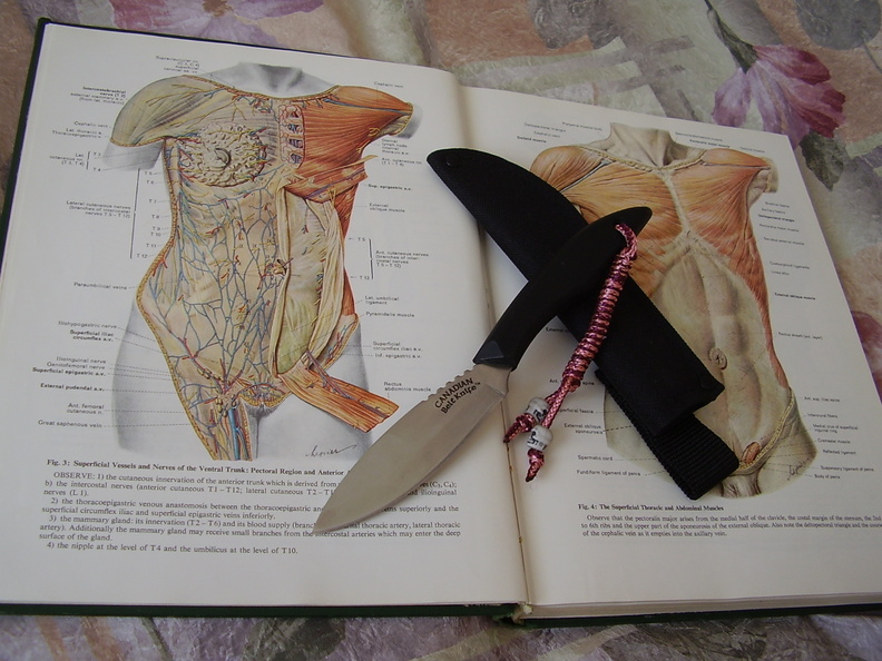COLD_STEEL__624095.jpg