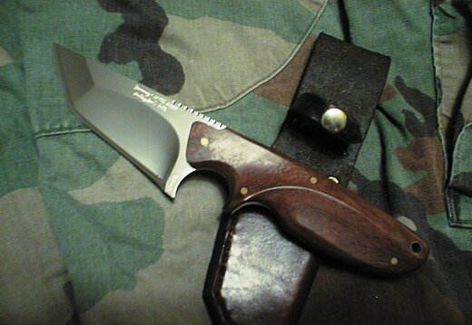 Daniel Lombardo Rogue