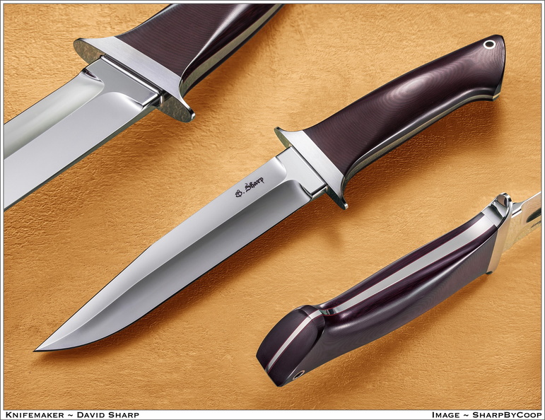 Sharp_140606C.jpg