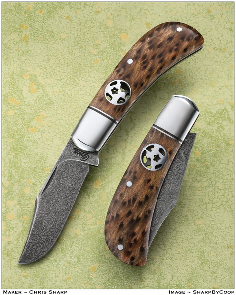 Sharp_210315B.jpg