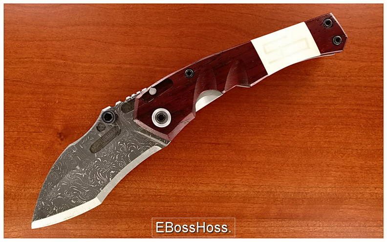 Carillo_0292.jpg