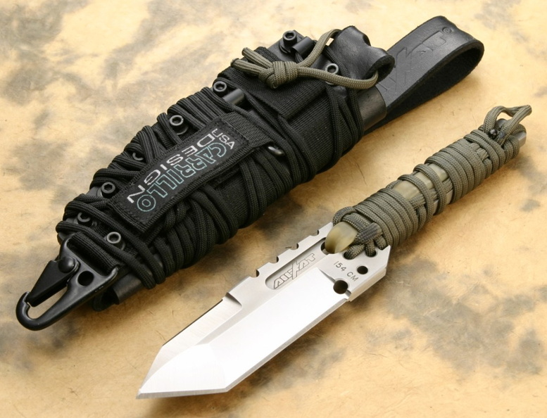 Dwaine_Carrillo_DCScout.jpg