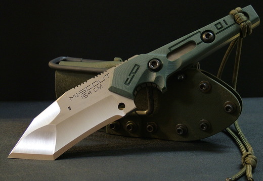 Dwaine Carrillo M1Scout model 5
