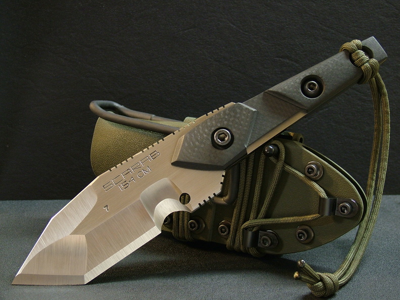 Dwaine_Carrillo_Scarab_model_7.JPG