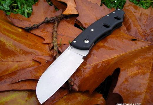 Eric Parmentier Piwi--001