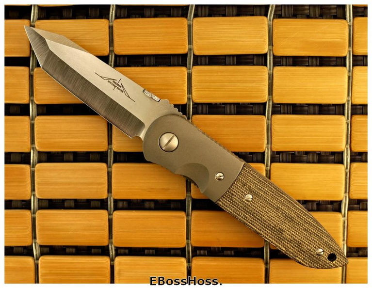 Ernest_Emerson_1259.jpg