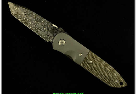Ernest Emerson 5295