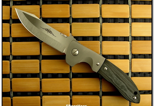 Ernest Emerson 6481