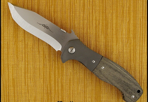 Ernest Emerson 6701