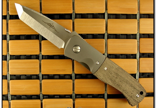 Ernest Emerson 8824