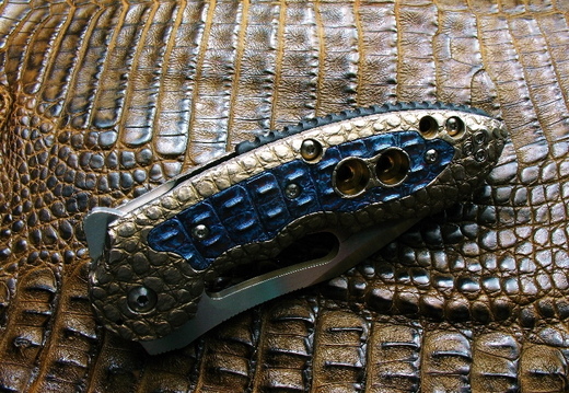 Flavio Ikoma Harrier0