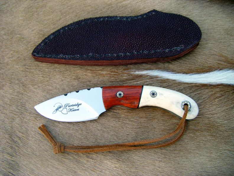 Artemis_Skinner--003.jpg