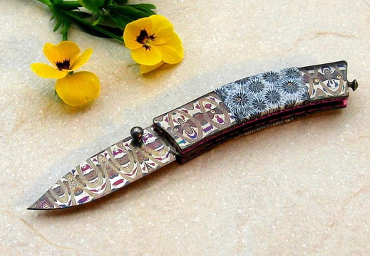 Johan Gustafsson Fossilized Coral