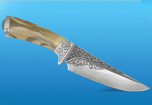 1 cheetah1