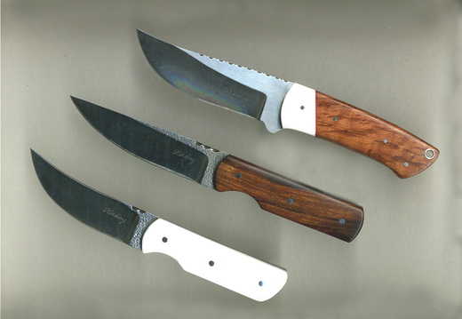 collection 48