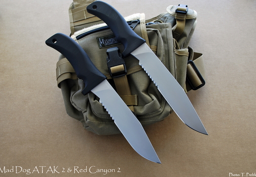 Mad Dog atak2redcanyon2