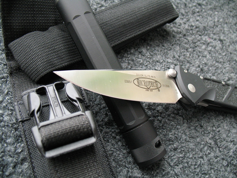 Microtech_1024x768.jpg