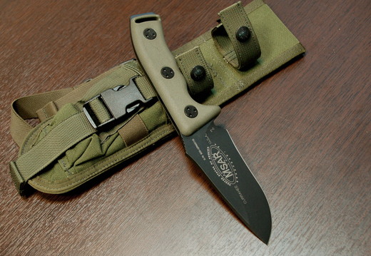 Microtech CURRAHEE MSAR