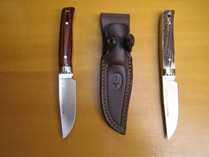 Muela_modelo_EAGLE.jpg