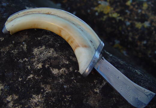 Biltong Blade