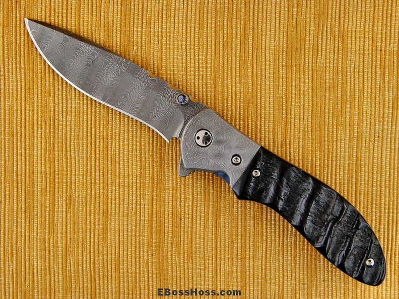 Phil_Boguszewski_Fancy_MiniCobra.jpg