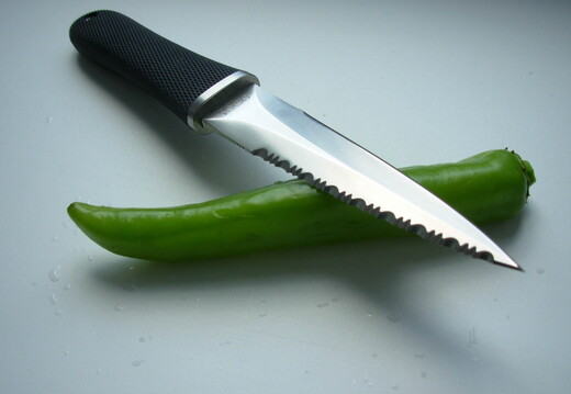sog on chilli wallpaper
