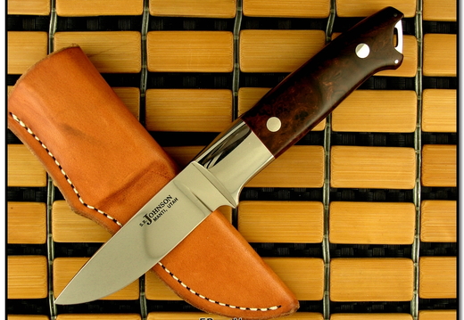 SR Johnson 8767