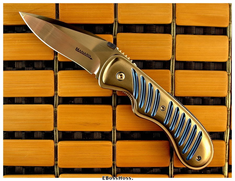 Sal_Manaro_1219.jpg