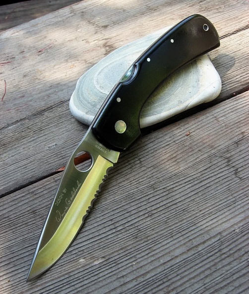 Goddard_Spydie.jpg