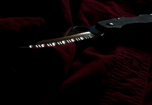 IMGP2304
