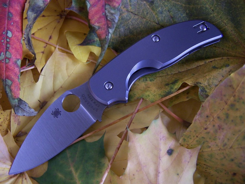 Spyderco_001.jpg