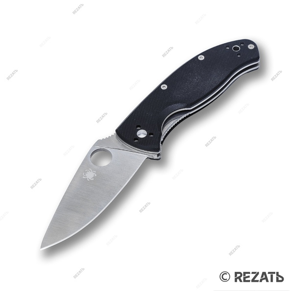 Spyderco_490.jpg