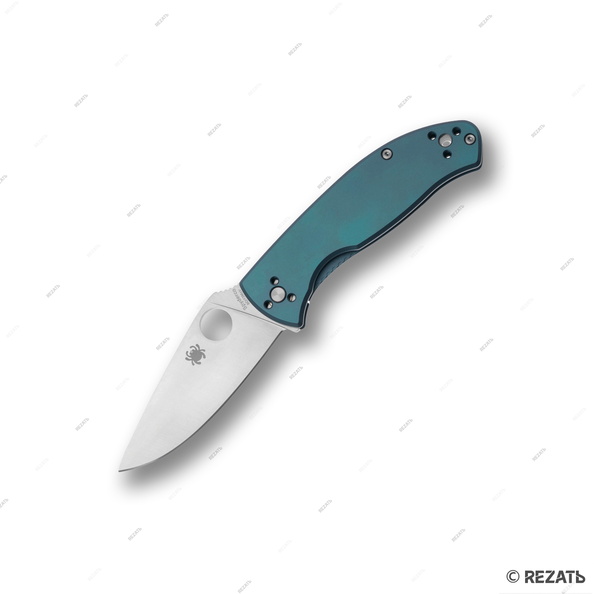 Spyderco_495.jpg