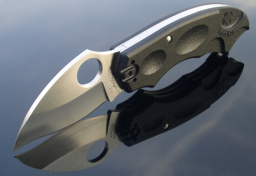 Spyderco CIMG7944