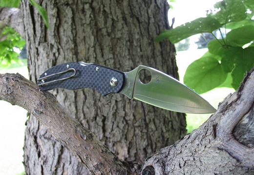 Spyderco Caly3 Carbon Fiber  ZDP189 blade