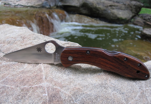 Spyderco Custom Delica 4 Cocobolo wood handles