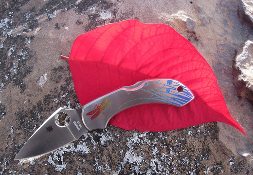 Spyderco Dragonfly Tatoo