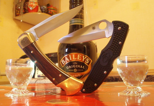 Spyderco Endura